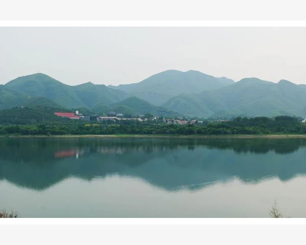 补气药物见效时间揭秘，助你恢复活力！